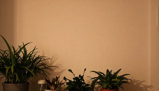性能优化对软件研发效率的影响分析